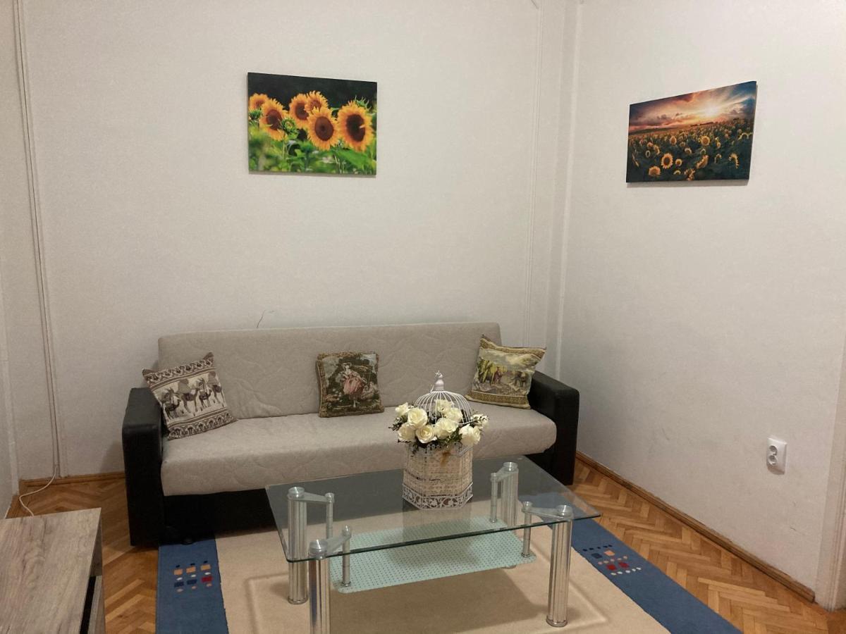Appartement Irina Piteşti